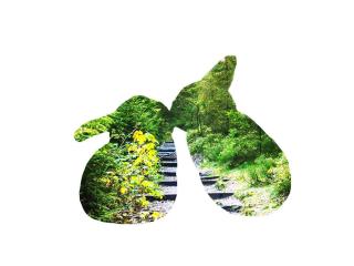 広島県世羅高原のグランピング施設 野うさぎの杜