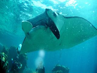 ジョイクリエイト沖縄ティーダ サブイメージ1