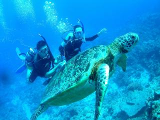 ジョイクリエイト沖縄ティーダ サブイメージ2