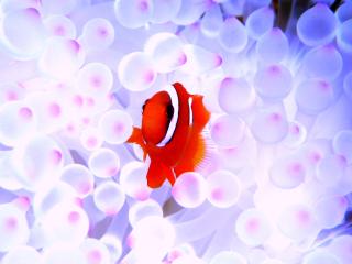 ジョイクリエイト沖縄ティーダ サブイメージ5