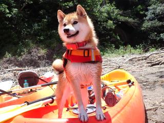 湊CAFE＆PIRATES サブイメージ4