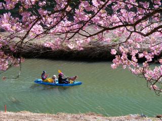 湊CAFE＆PIRATES サブイメージ5