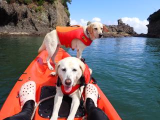 湊CAFE＆PIRATES サブイメージ7