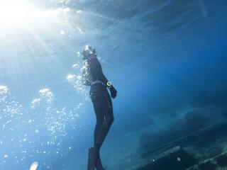 ダイビングショップ Reverse サブイメージ11