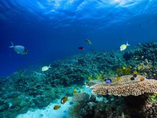 ダイビングショップ Reverse サブイメージ12