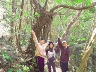 やんばる観光クリエイトぶながやー サブイメージ2