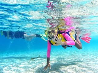 ダイブセンターOKKY サブイメージ1