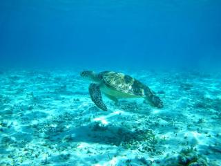 ダイブセンターOKKY サブイメージ2