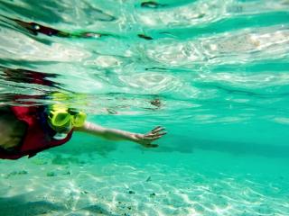 ダイブセンターOKKY サブイメージ4