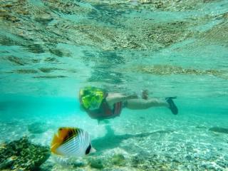 ダイブセンターOKKY サブイメージ6