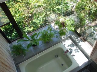 MALAMA MONSTERA サブイメージ3